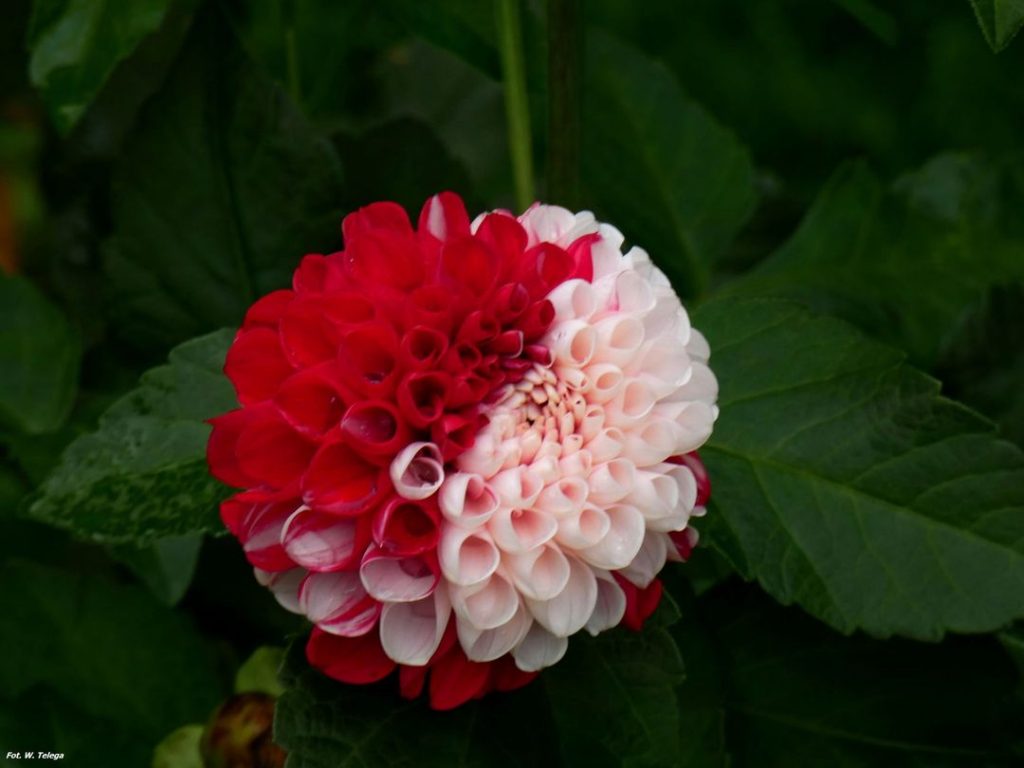 Życzenia z okazji Dnia Edukacji Narodowej